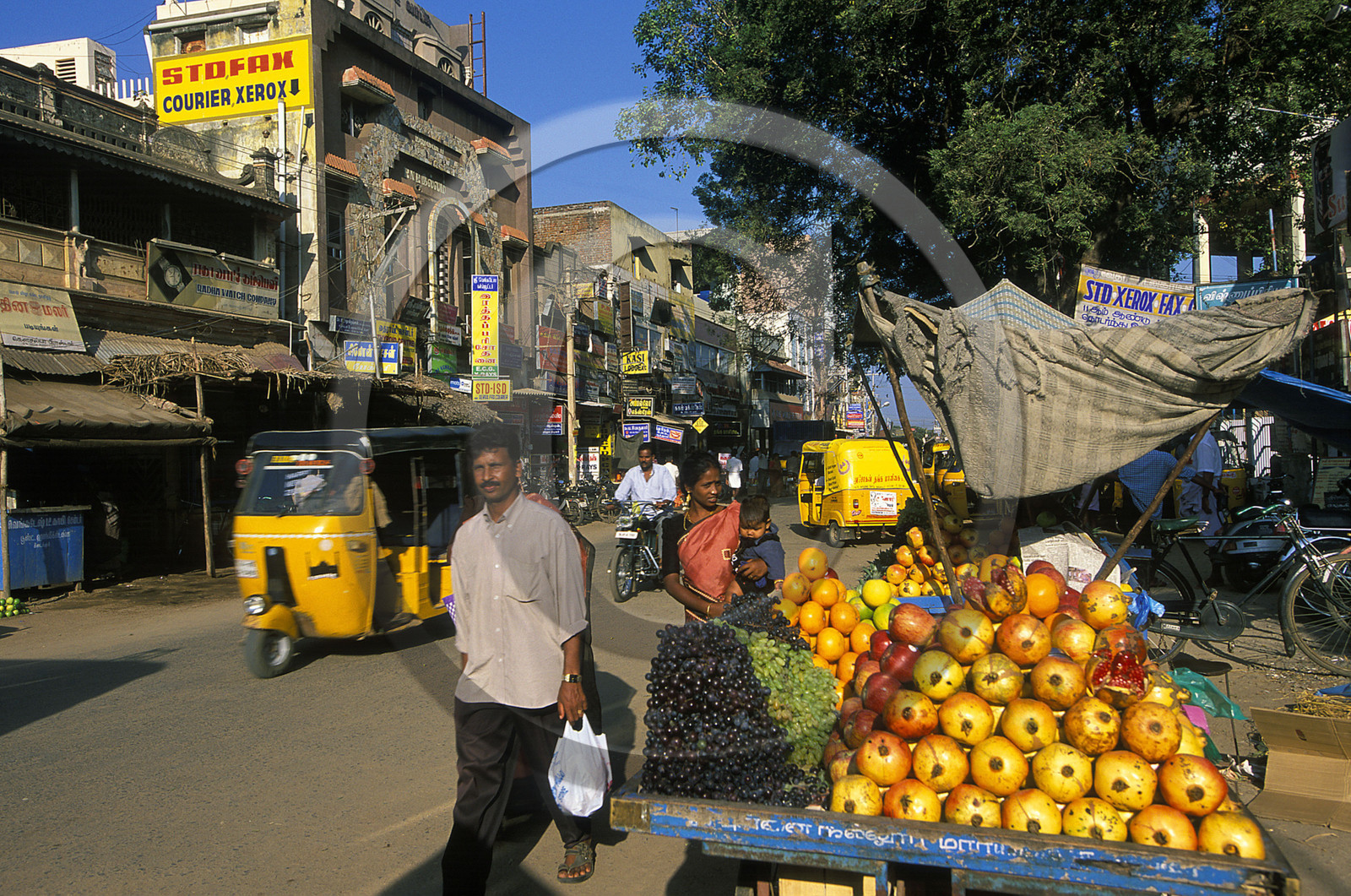 Inde du Sud