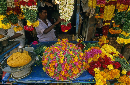 Inde, Tanjore