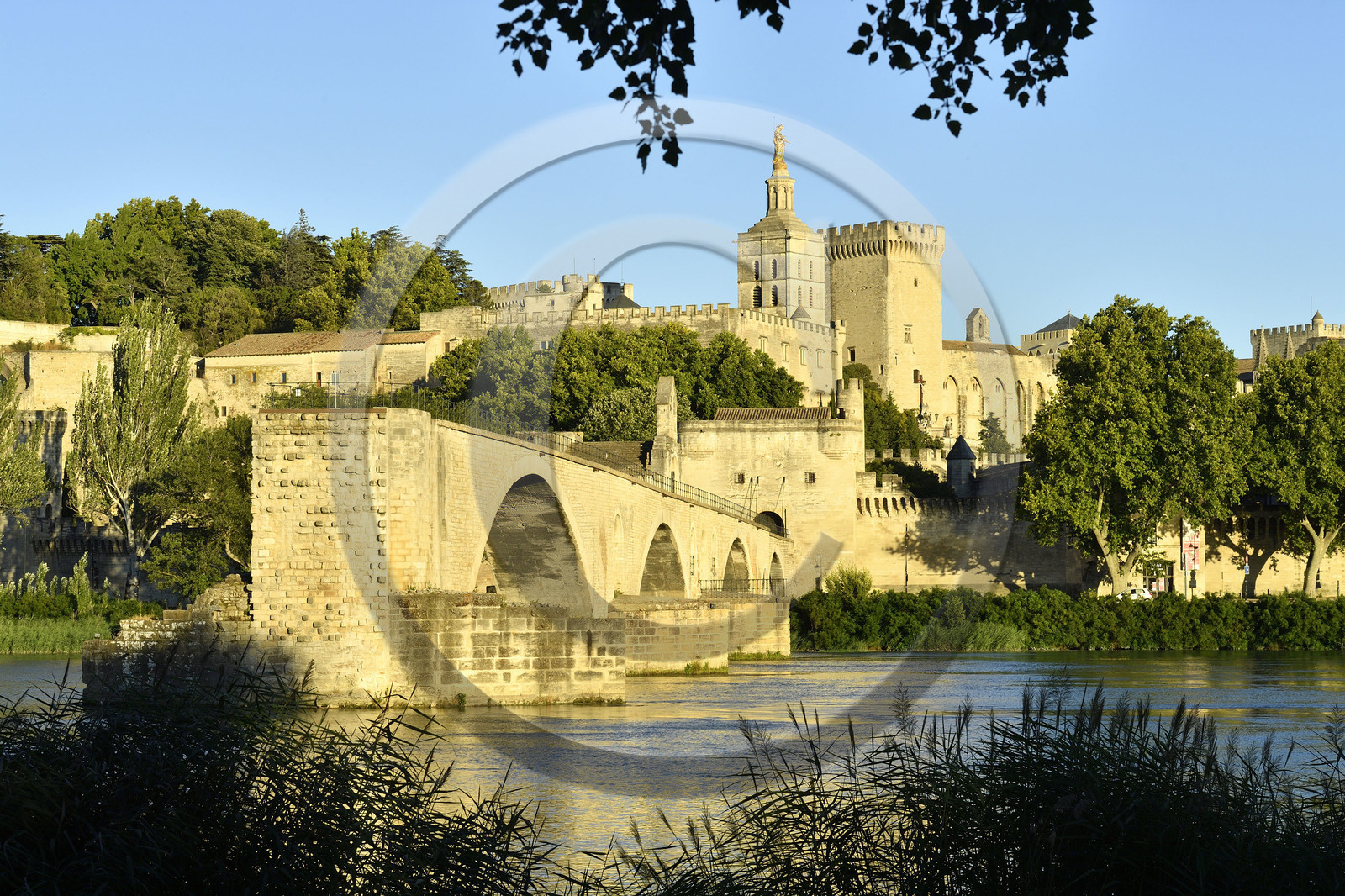 France, Avignon