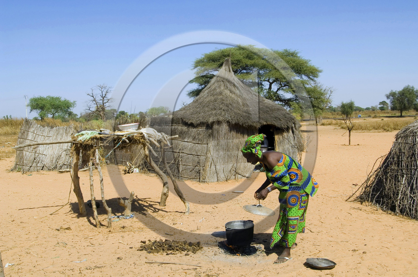 Brousse, Sénégal