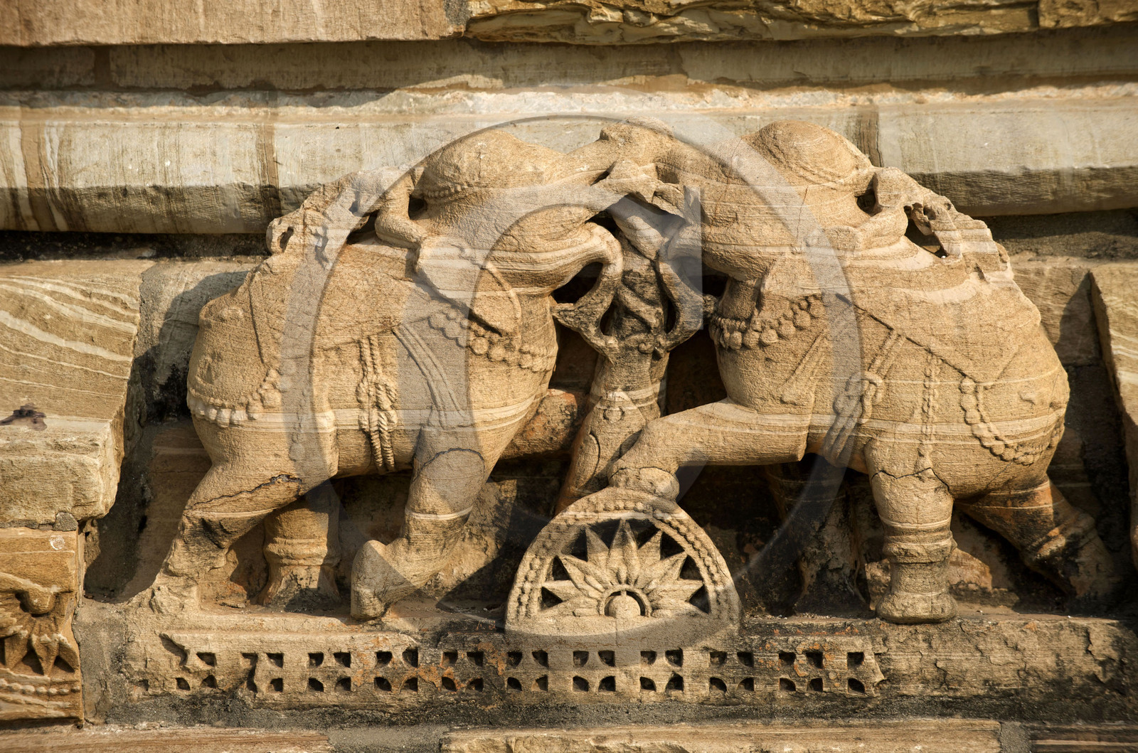 Inde, Chittorgarh