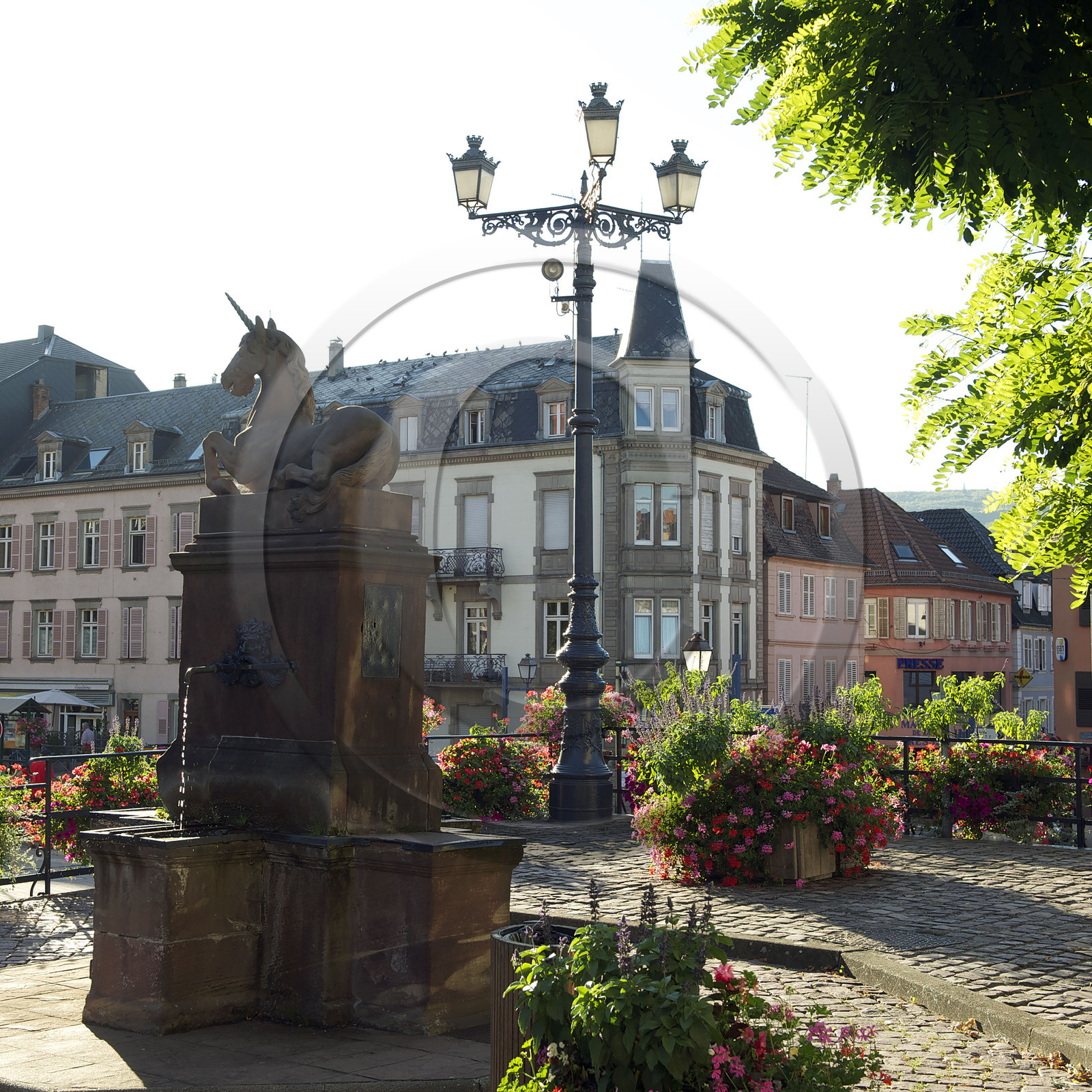 France, Saverne