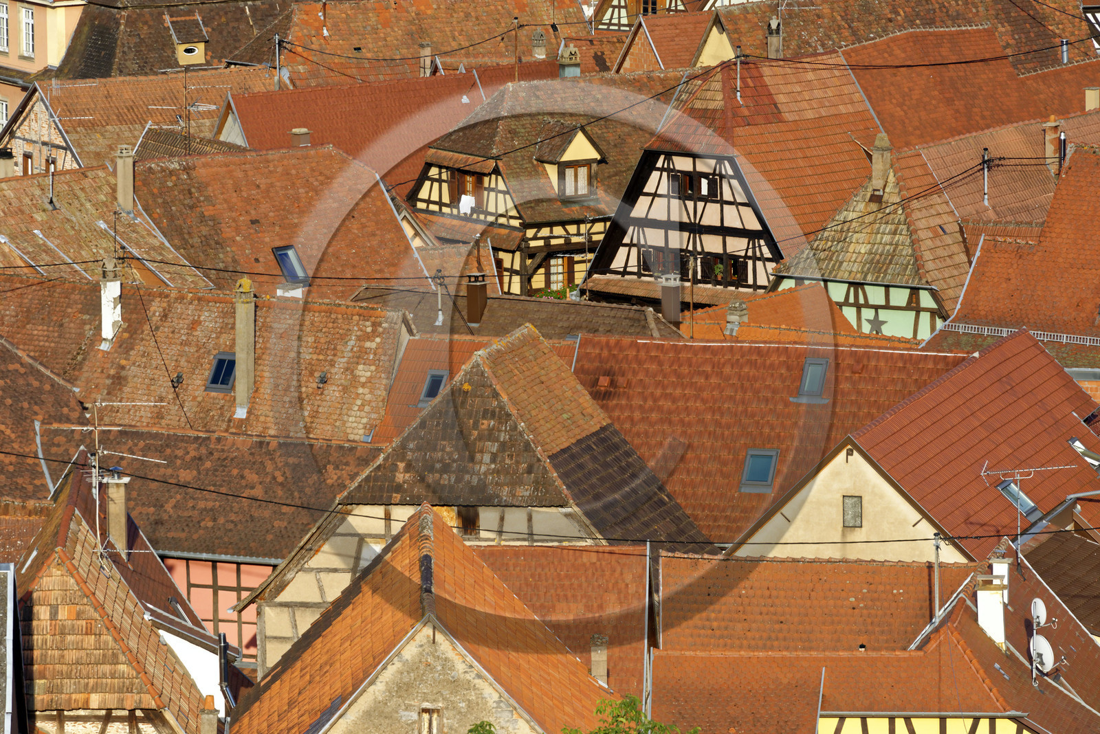 France, Dambach