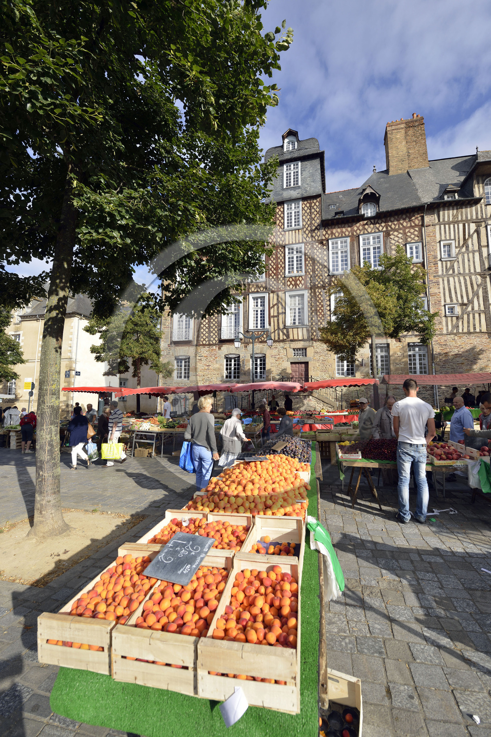 France, Rennes