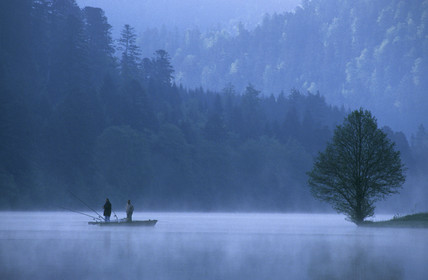 VOSGES (68).FRANCE