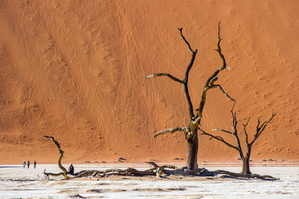Namibie, Sossusvlei