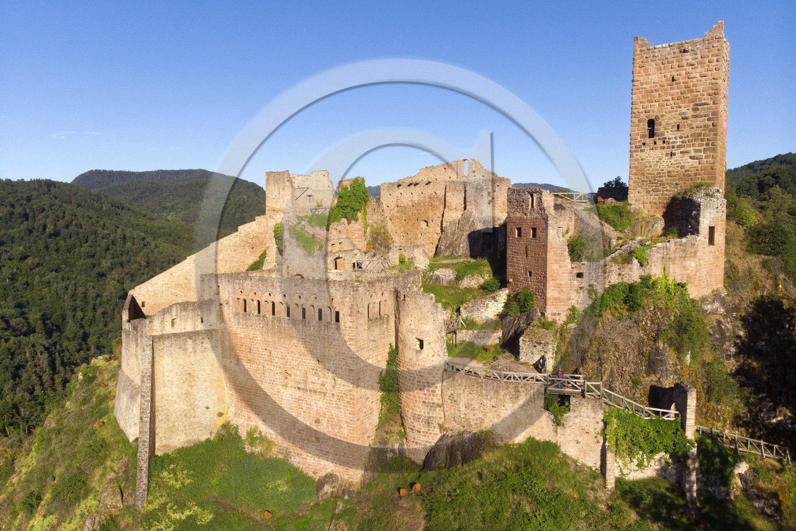 France, Ribeauville