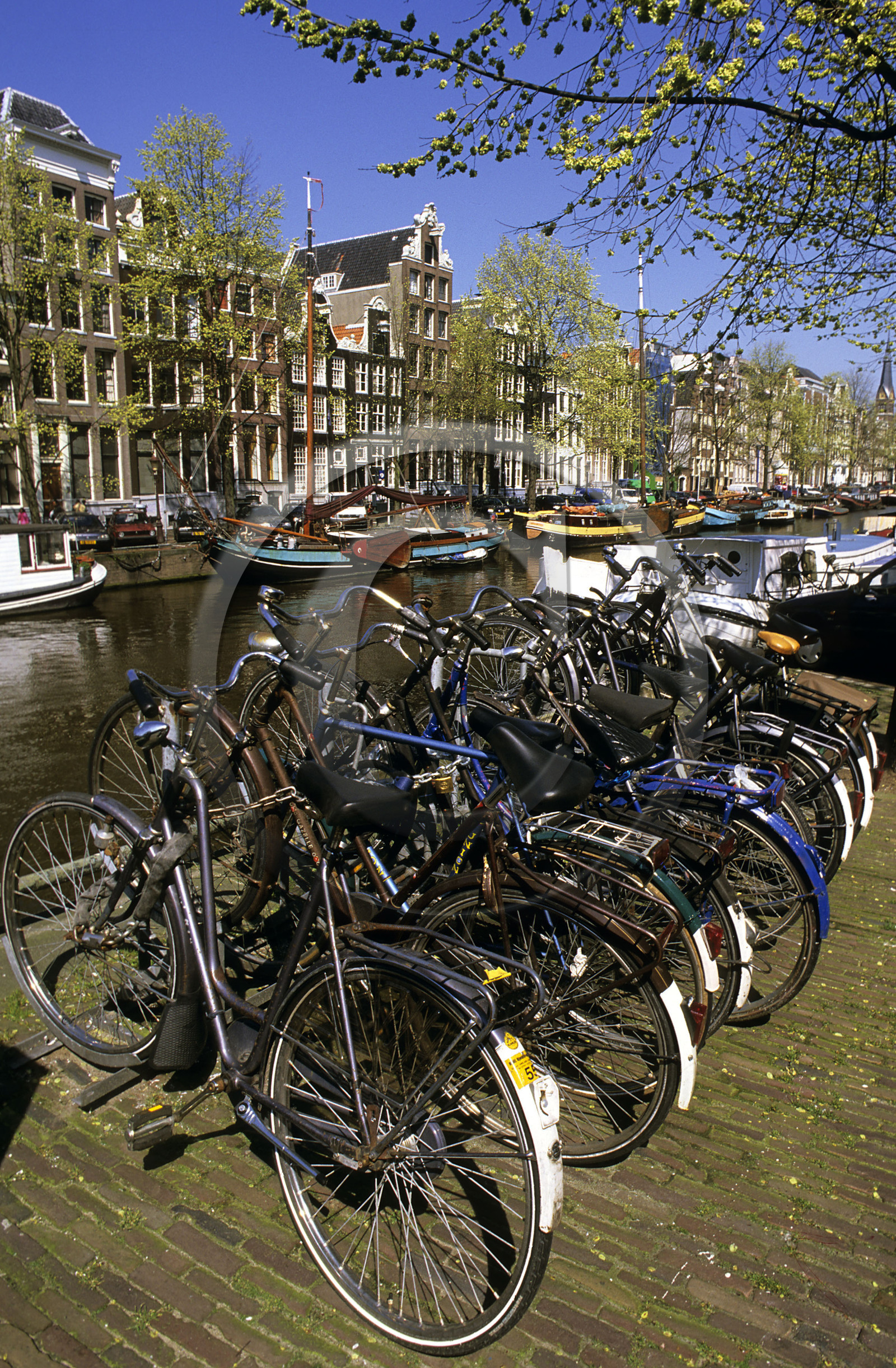 AMSTERDAM.PAYS BAS