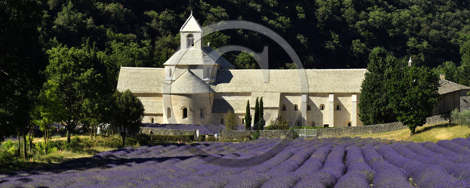 France, Senanque