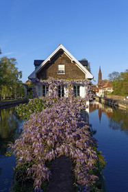 France, Strasbourg