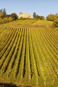 France, Kintzheim