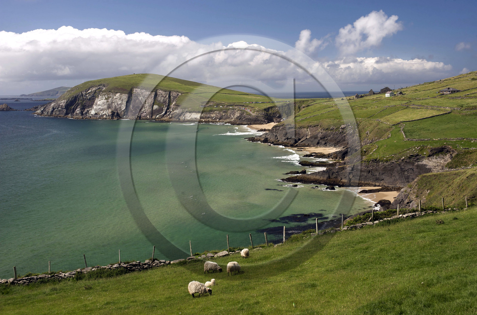 Irlande, Dingle