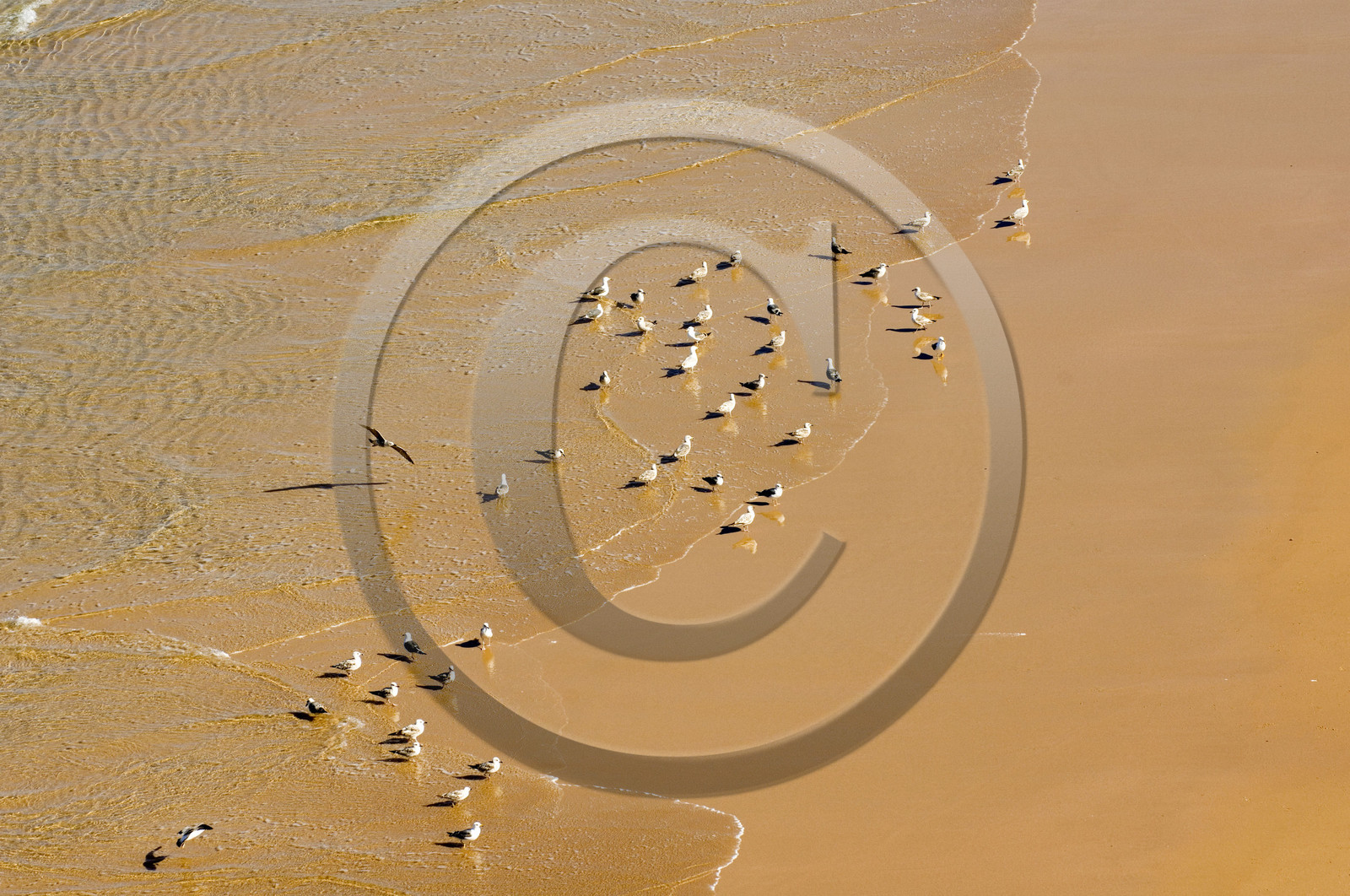 Cap Saint-Vincent, Algarve, Portugal