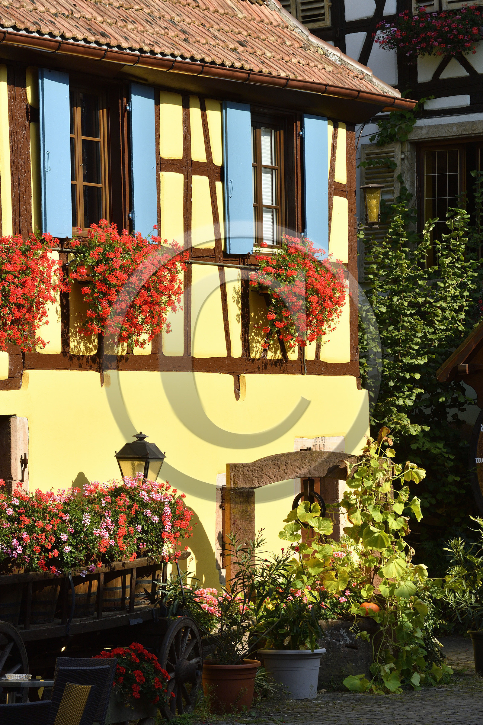 France, Eguisheim