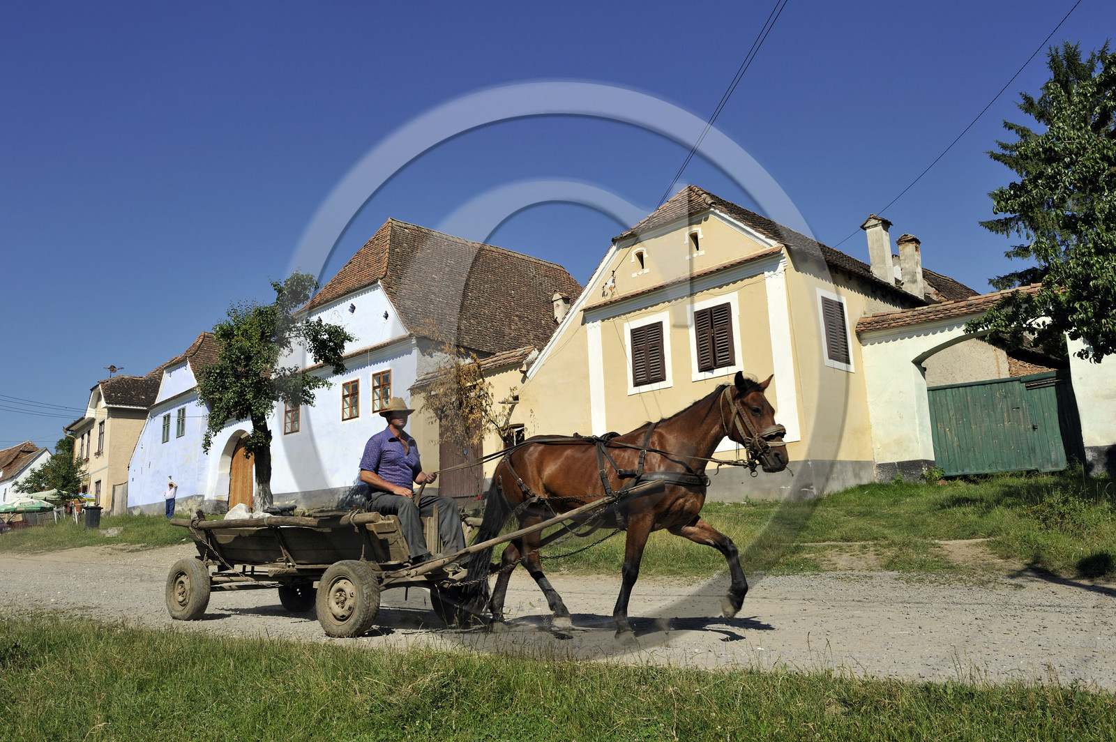 Roumanie, Viscri