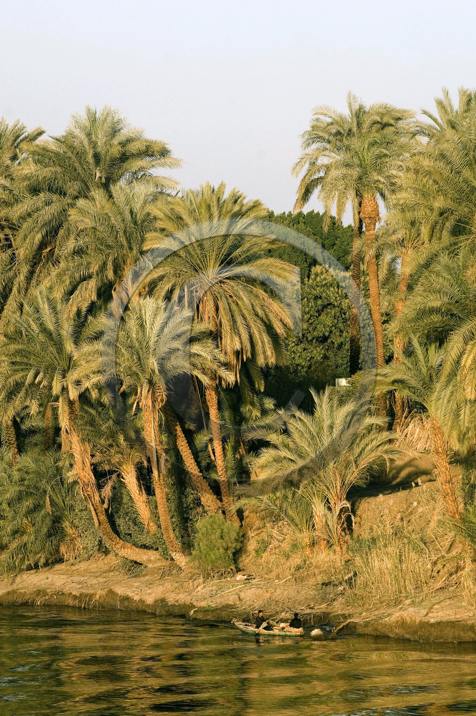 Egypte, Vallée du Nil