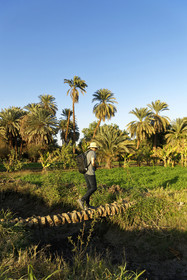 Egypte, Nil