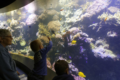 France, Oceanopolis