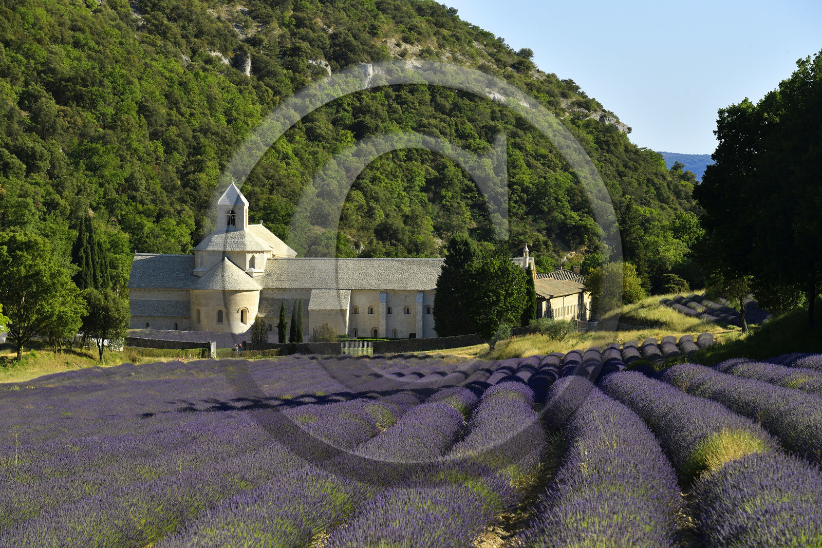France, Senanque