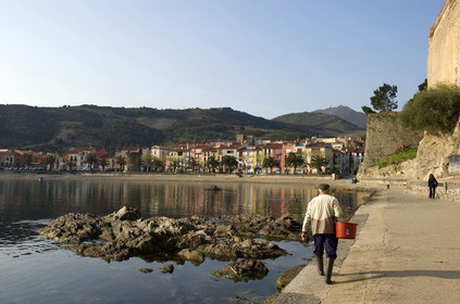 France, Collioure