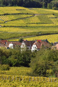 France, Ribeauville