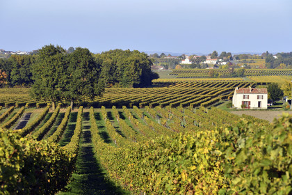 France, Cognac