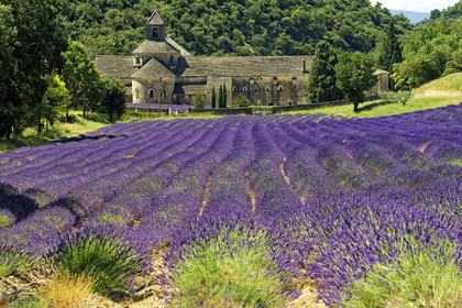 France, Senanque