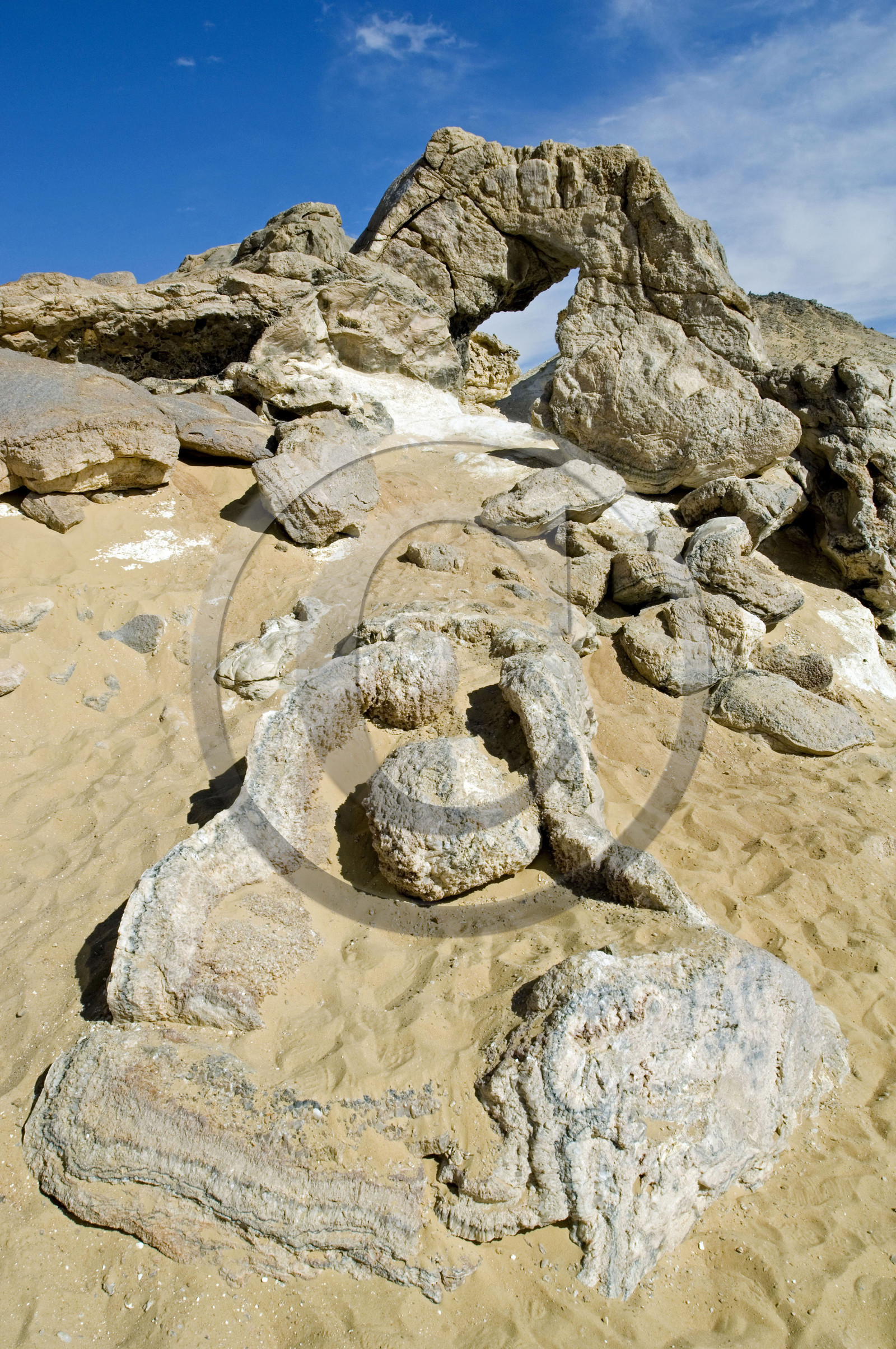 Egypte, désert libyque