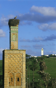 MAROC   RABAT.FORT DE CHELLAH