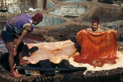 MAROC