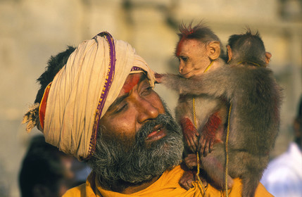 Inde du Sud