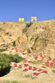 Maroc, Fes