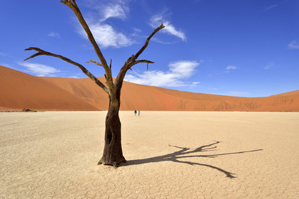 Namibie, Sossusvlei