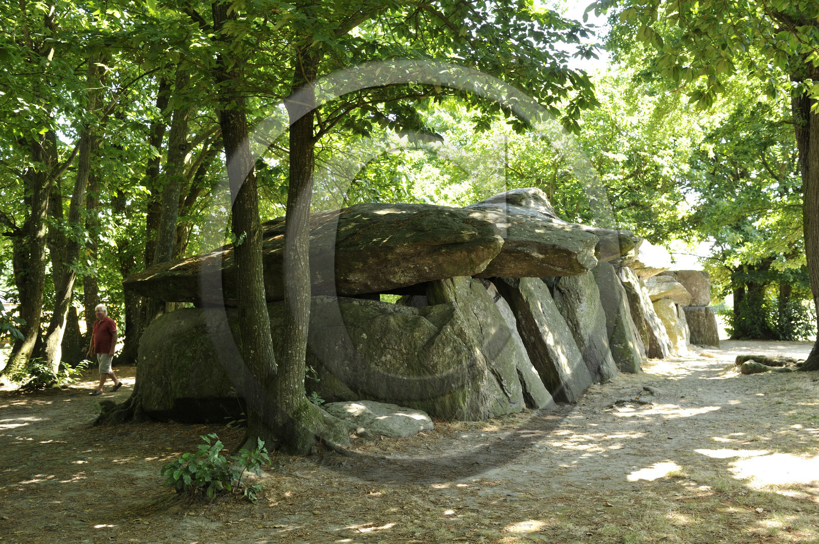 France, Roche aux Fées