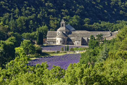 France, Senanque