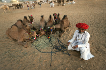 Inde, Pushkar
