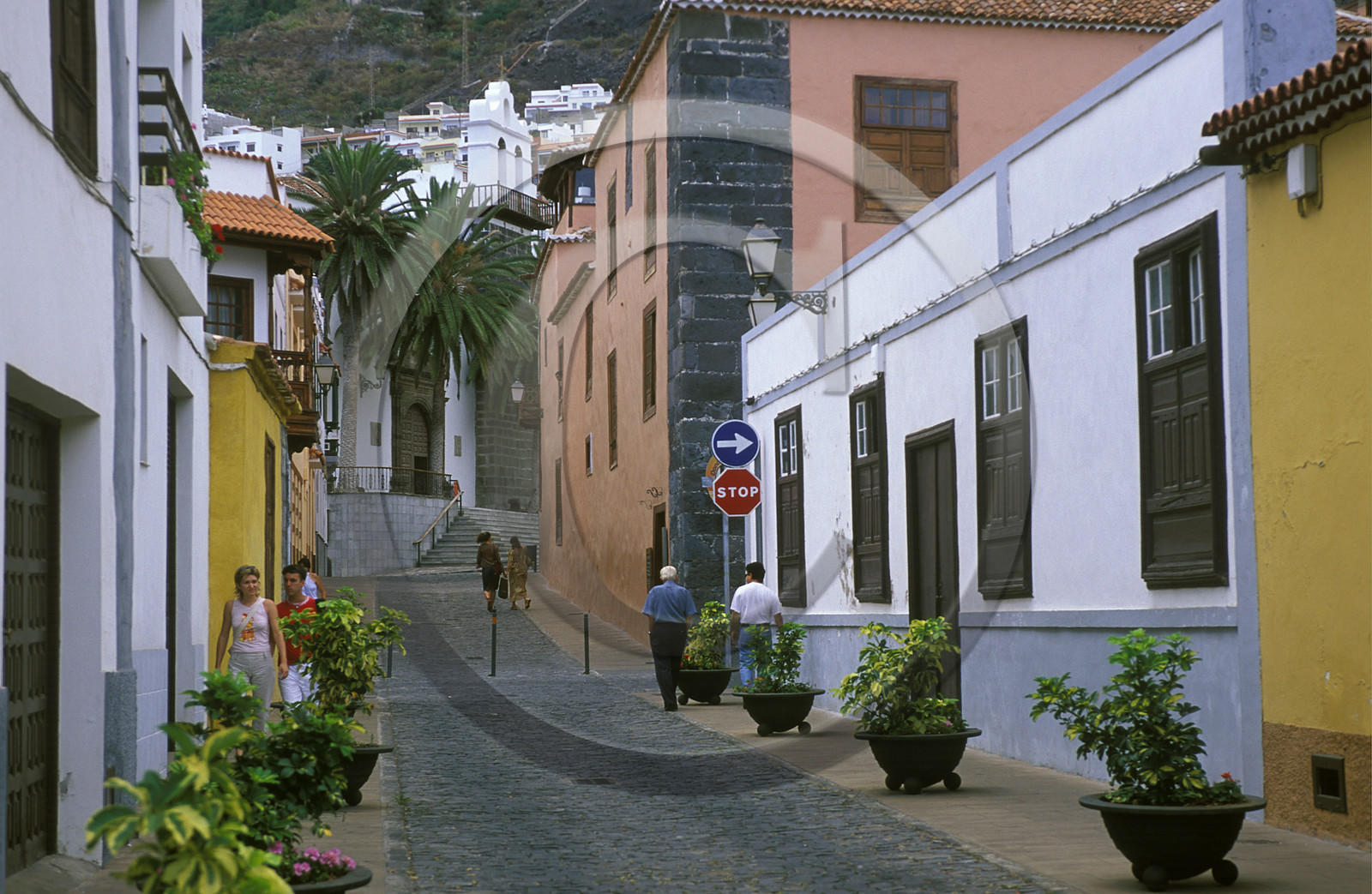 Canaries. Espagne