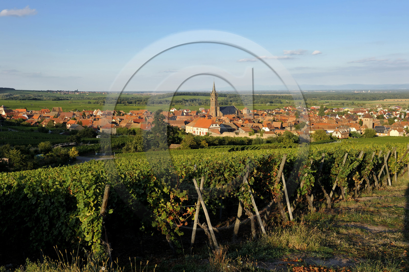 France, Alsace