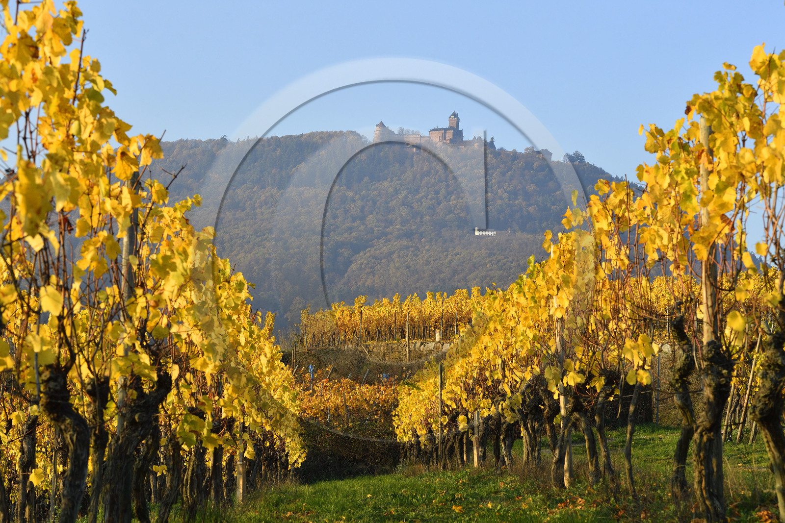 France, Koenigsbourg