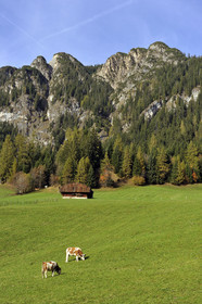 Autriche, Tyrol