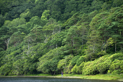 Irlande, Connemara
