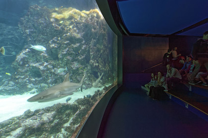 France, Oceanopolis
