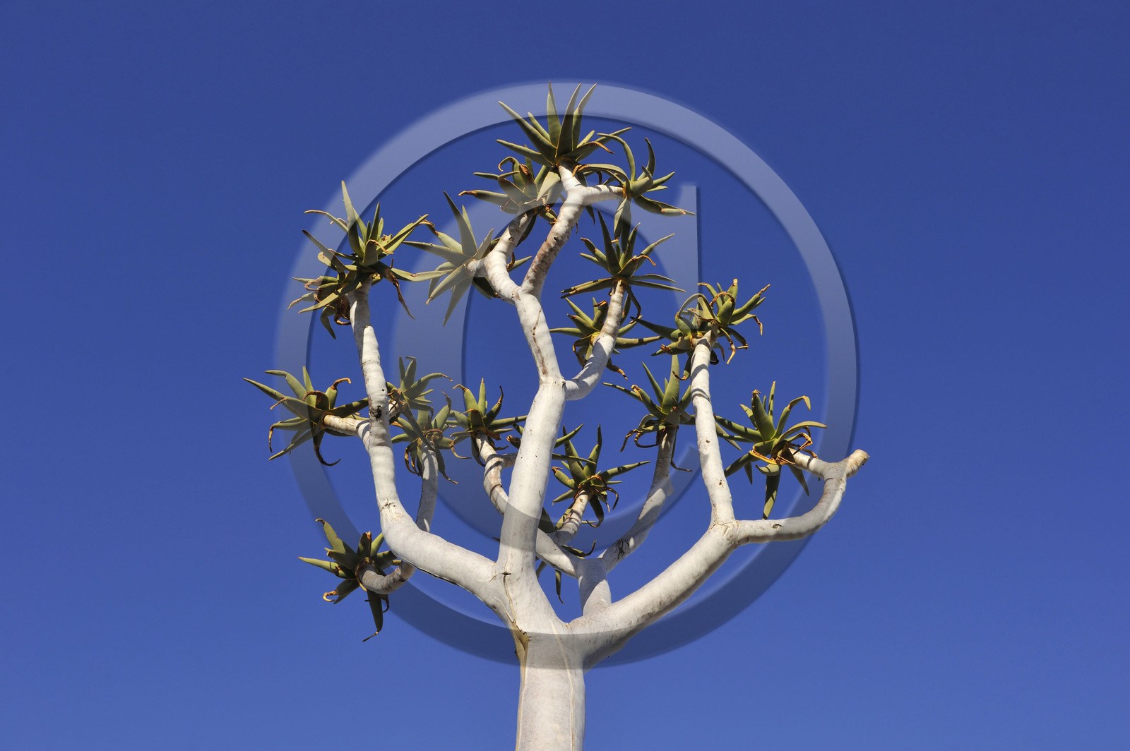Namibie, Fish River Canyon