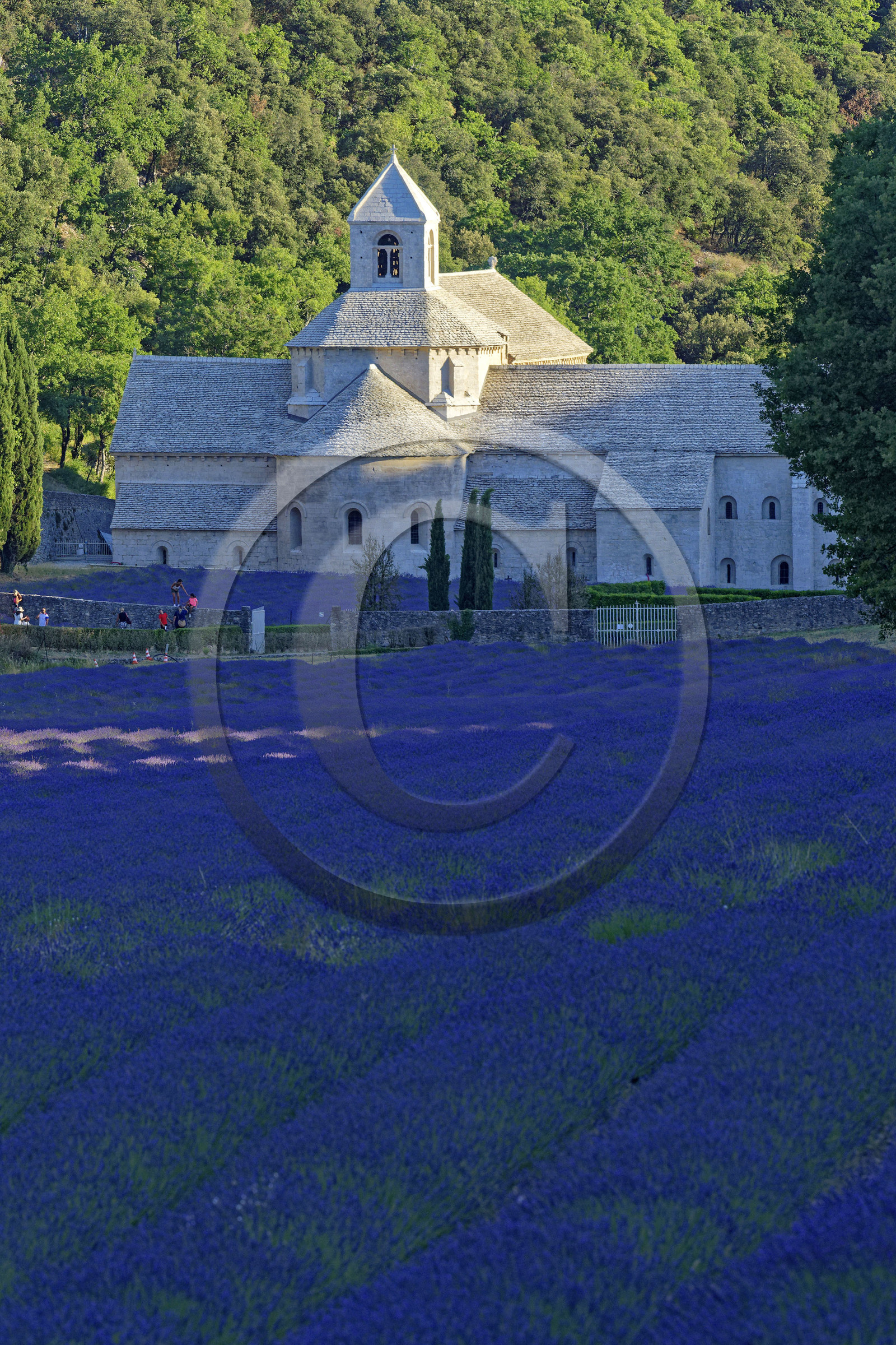 France, Senanque