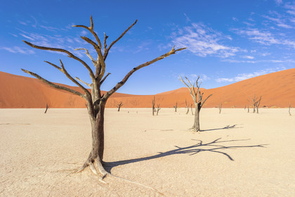 Namibie, Sossusvlei