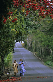 Ile Maurice