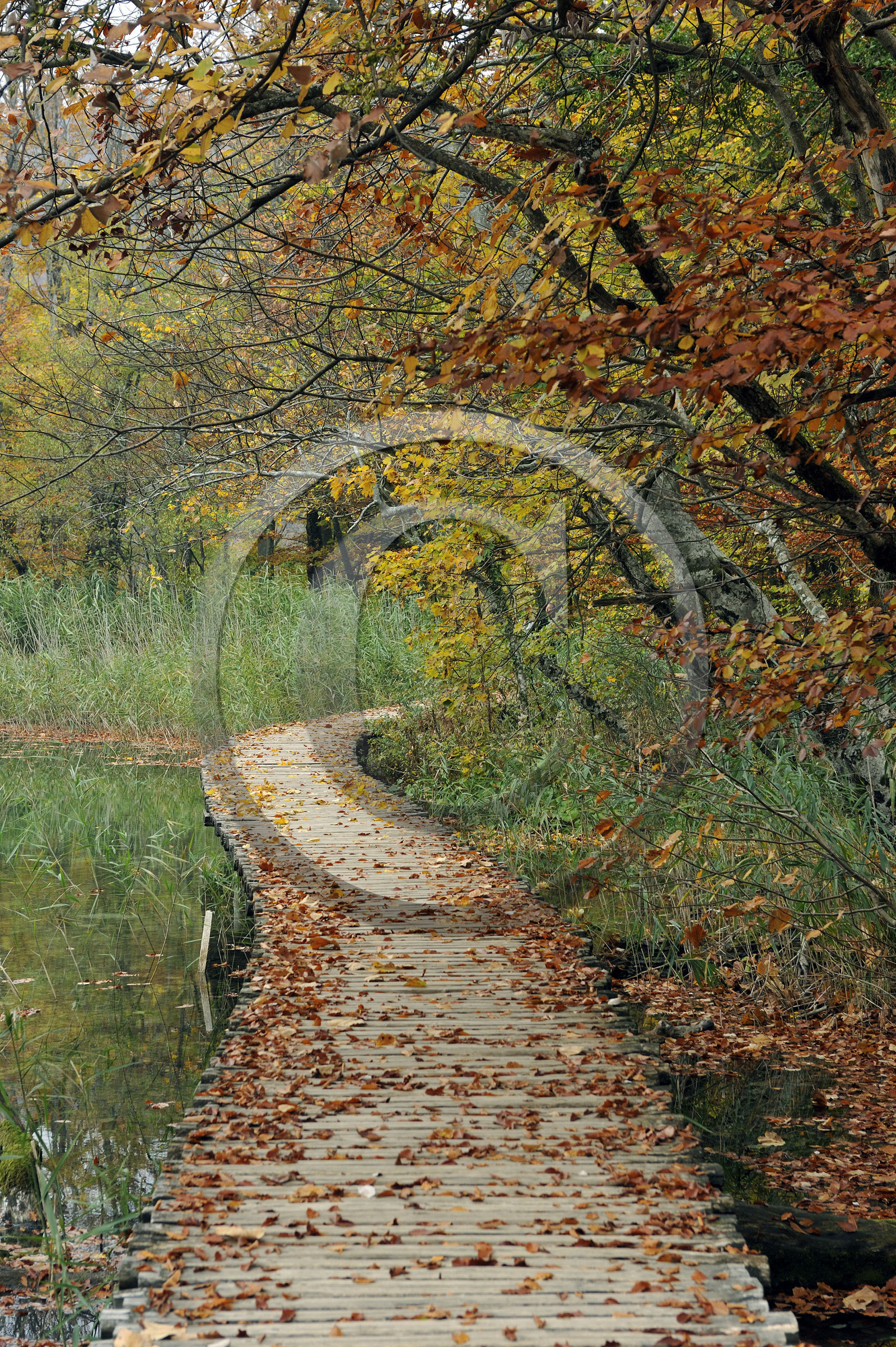 Croatie, Plitvice