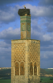 MAROC   RABAT.FORT DE CHELLAH