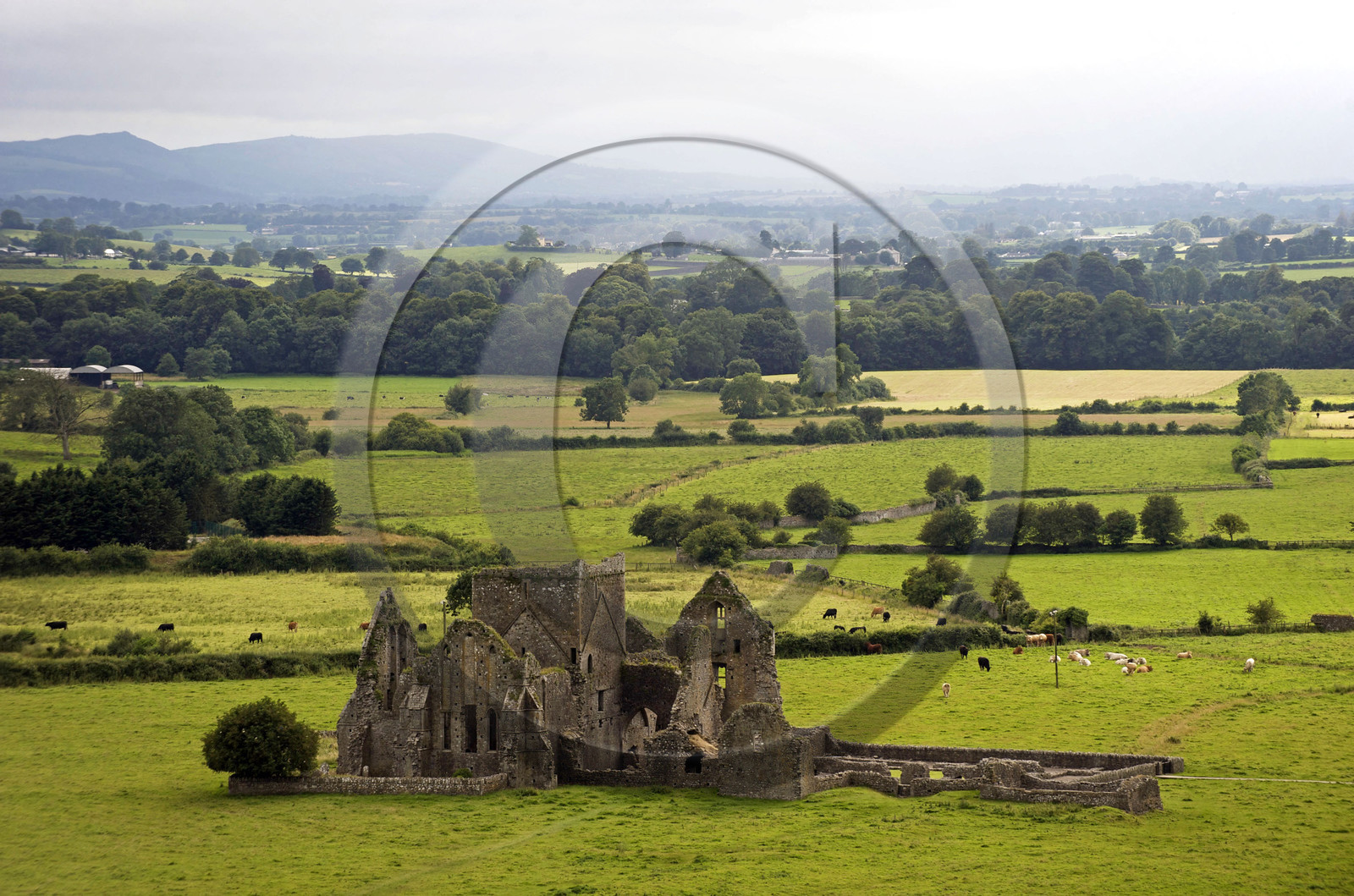 Irlande, Cashel