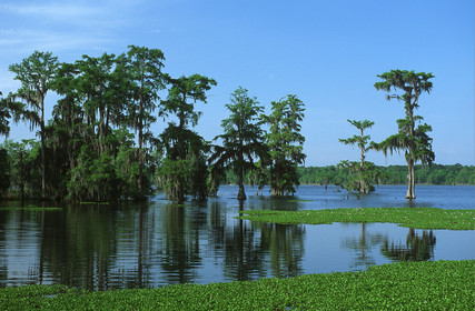 Louisiane, USA